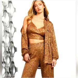 NWT Guess Wideleg Sequin Pallazzo Pants and Matching Camisole